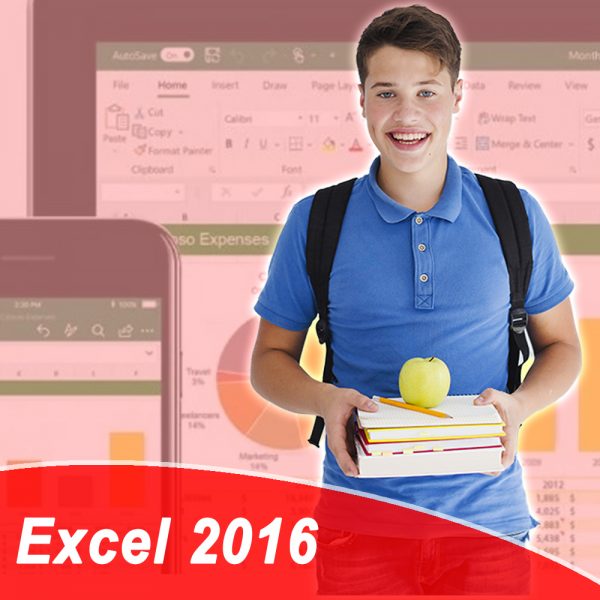 EXCEL-2016-sem-logo-1.jpg